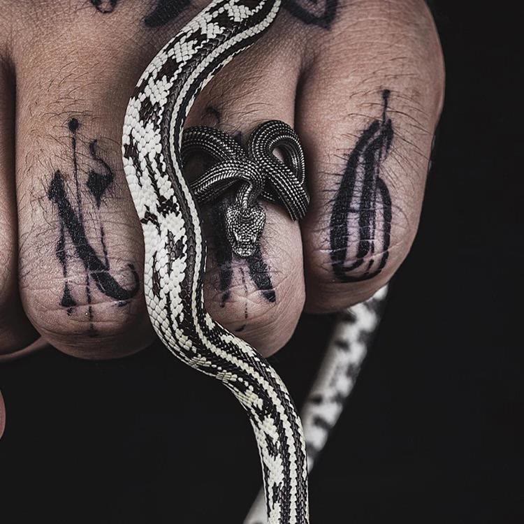 Unleash Your Fierce Side Twisted Viper Ring
