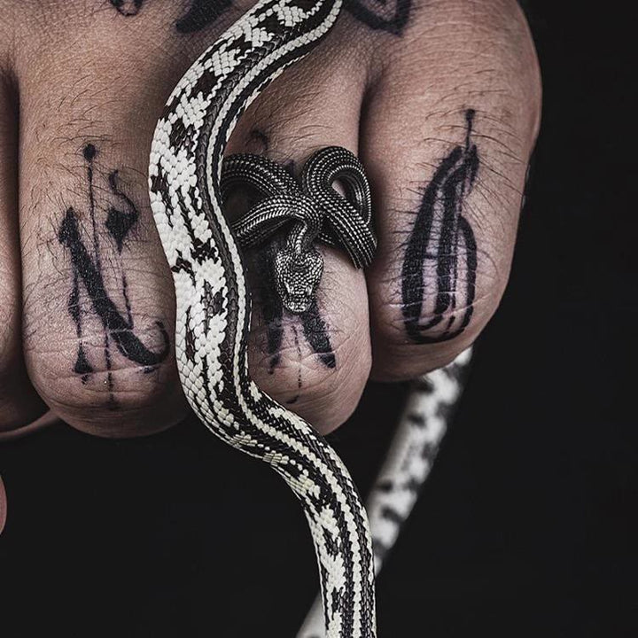 Unleash Your Fierce Side Twisted Viper Ring