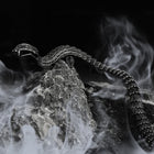 Viking Snake Jörmungandr Bracelet Stainless Steel Bangle Bracelet 5